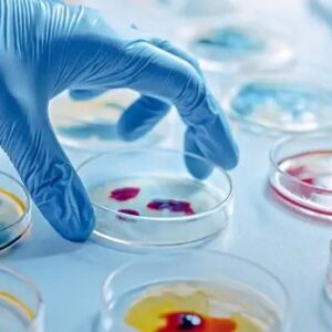 gamma sterilized disposable petri plate packs for microbiology labs in UAE and Oman