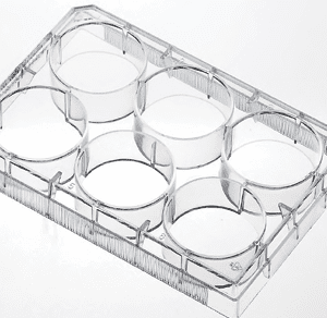 6 well tissue culture plate sterile flat bottom for lab use